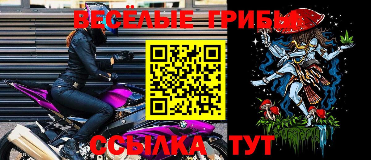 Псилоцибиновые грибы GOLDEN TEACHER  Вход с VPN  где продают   Медногорск 