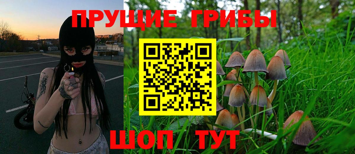 Псилоцибиновые грибы Cubensis Медногорск